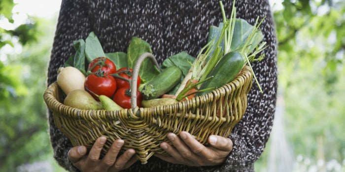Alimentos para ser más productiva